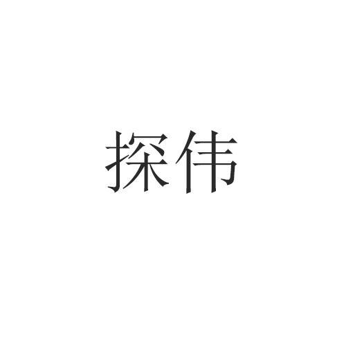 探伟