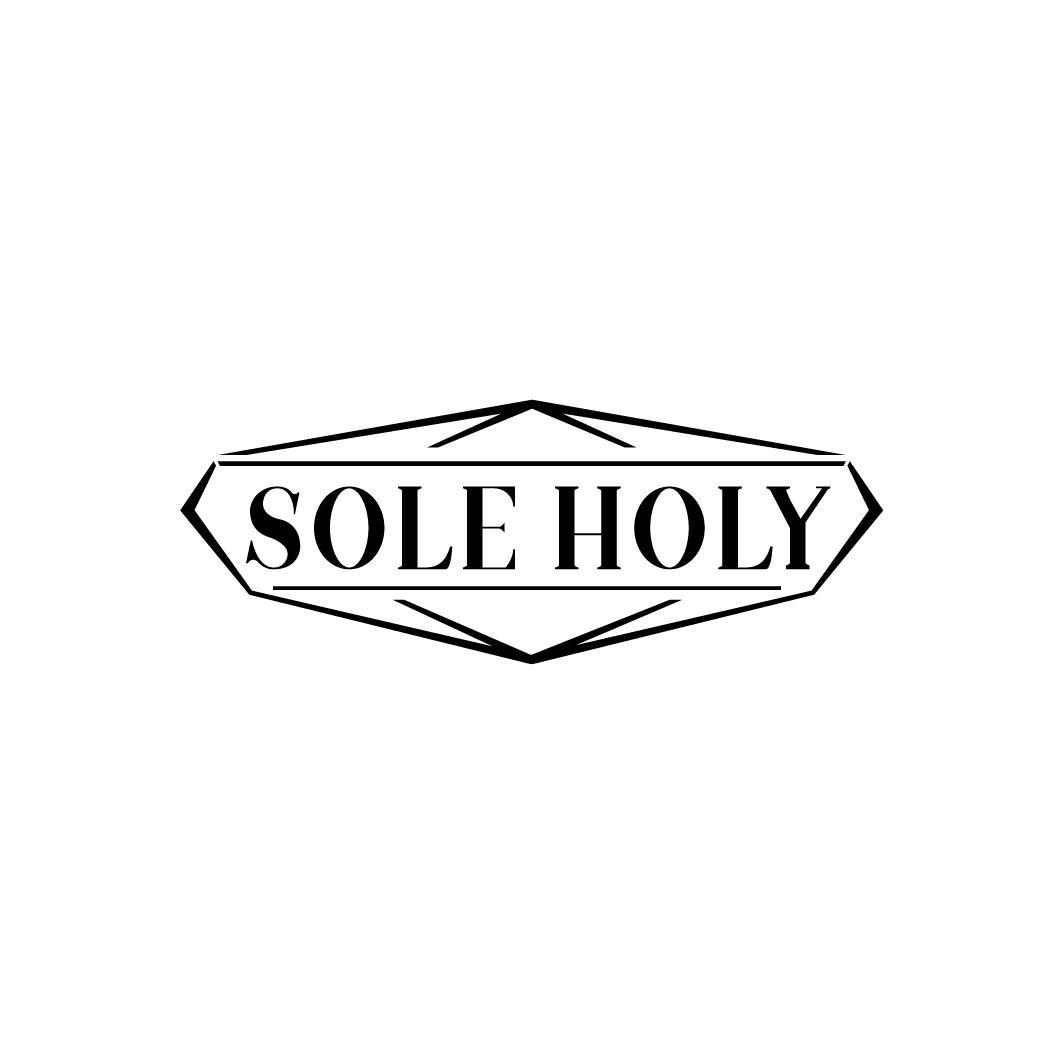 SOLE HOLY