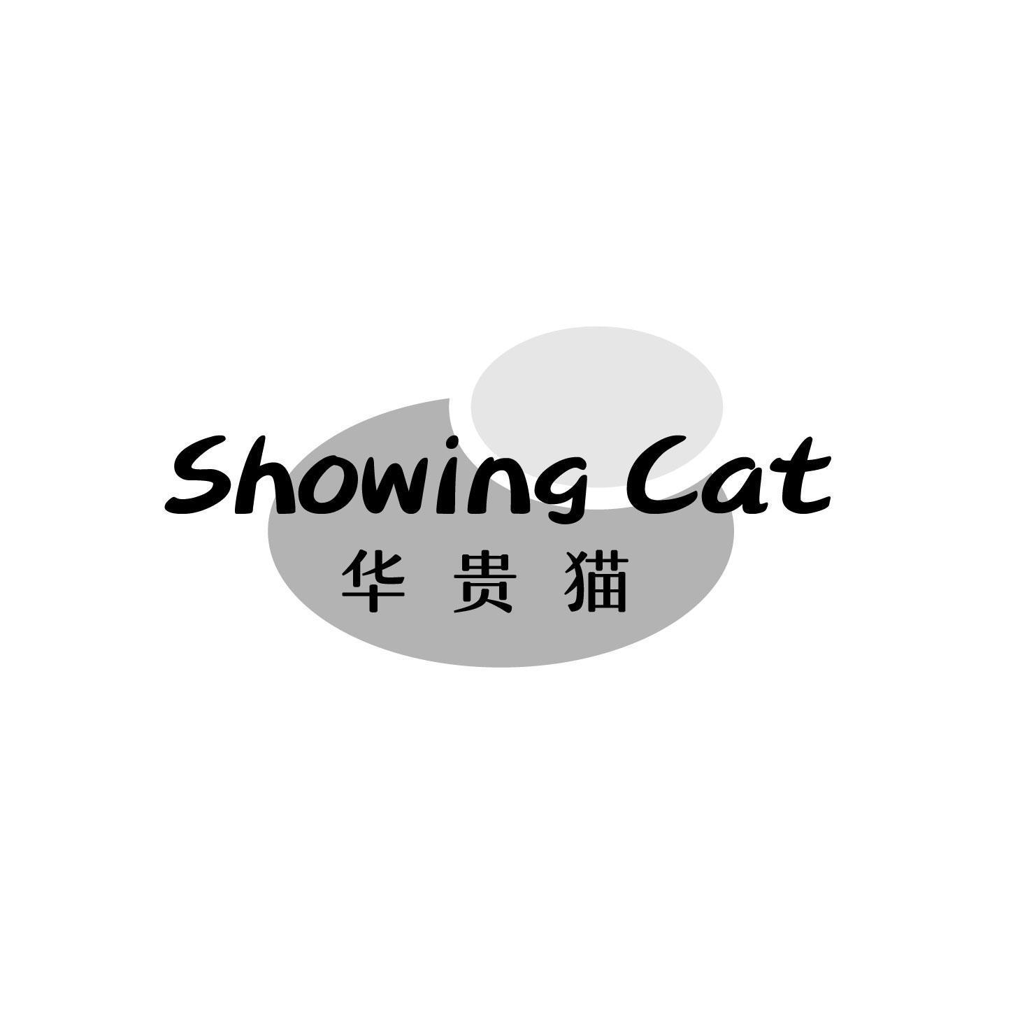 SHOWING CAT 华贵猫