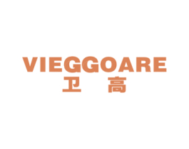 卫高 VIEGGOARE