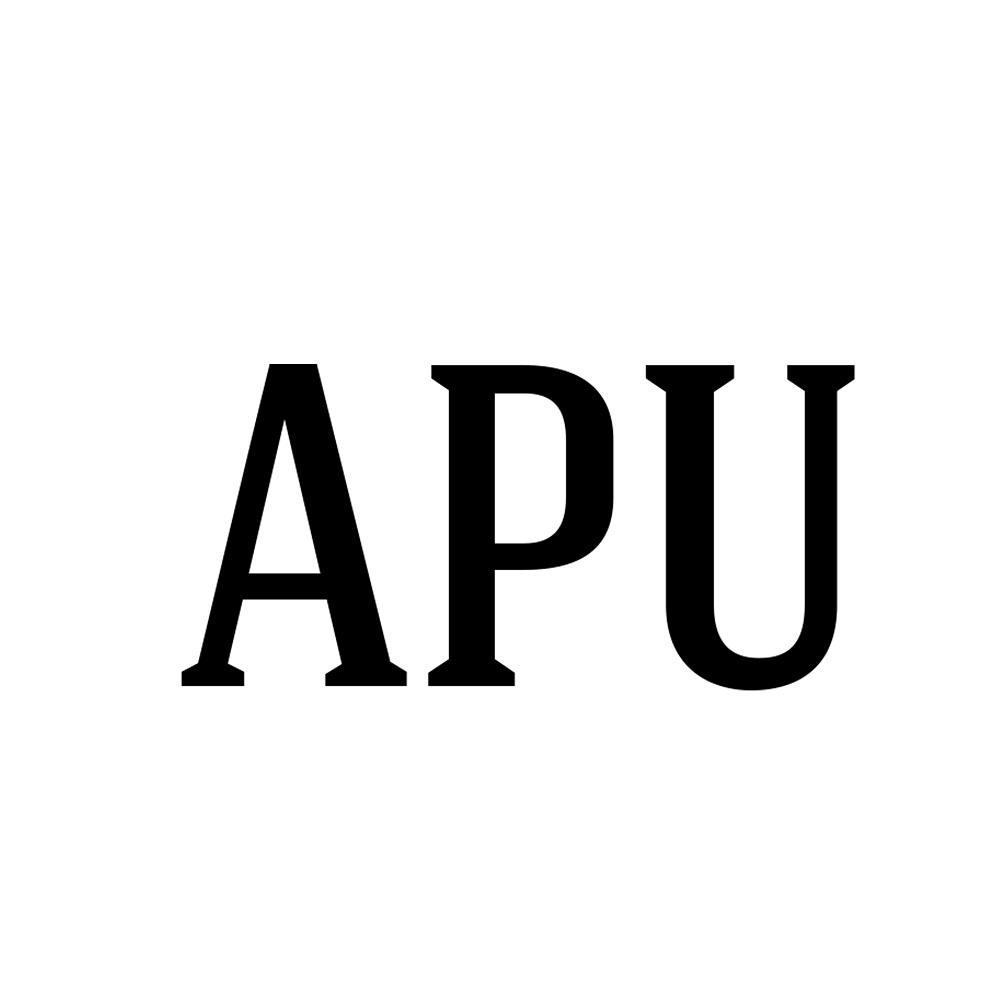 APU