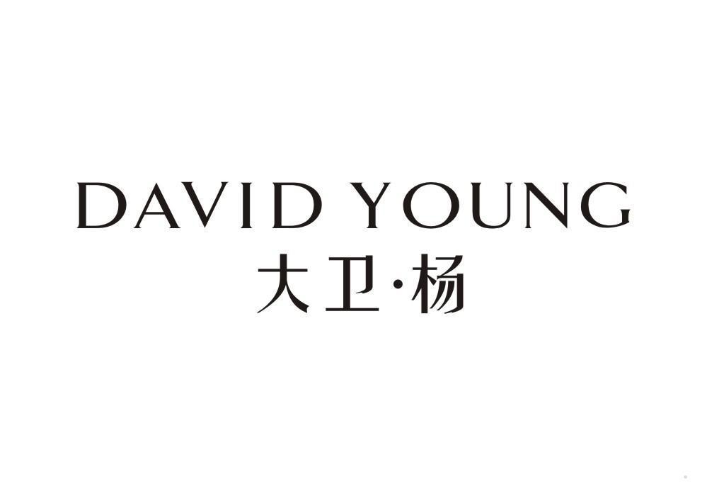大卫·杨 DAVID YOUNG