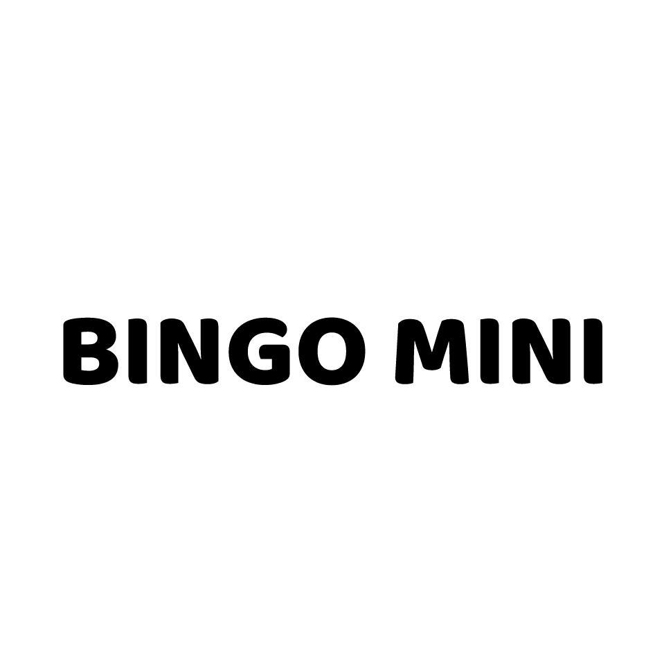 BINGO MINI