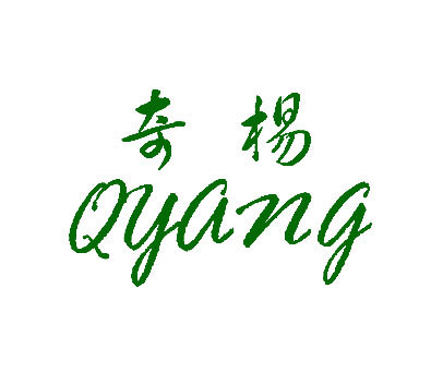 奇杨 QYANG