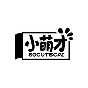 小萌才 SOCUTECAI