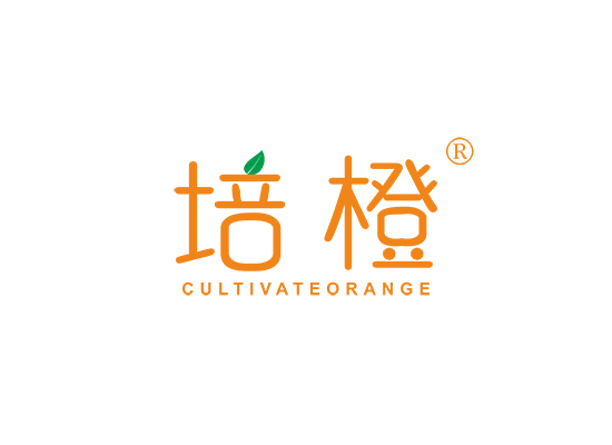 培橙 CULTIVATEORANGE