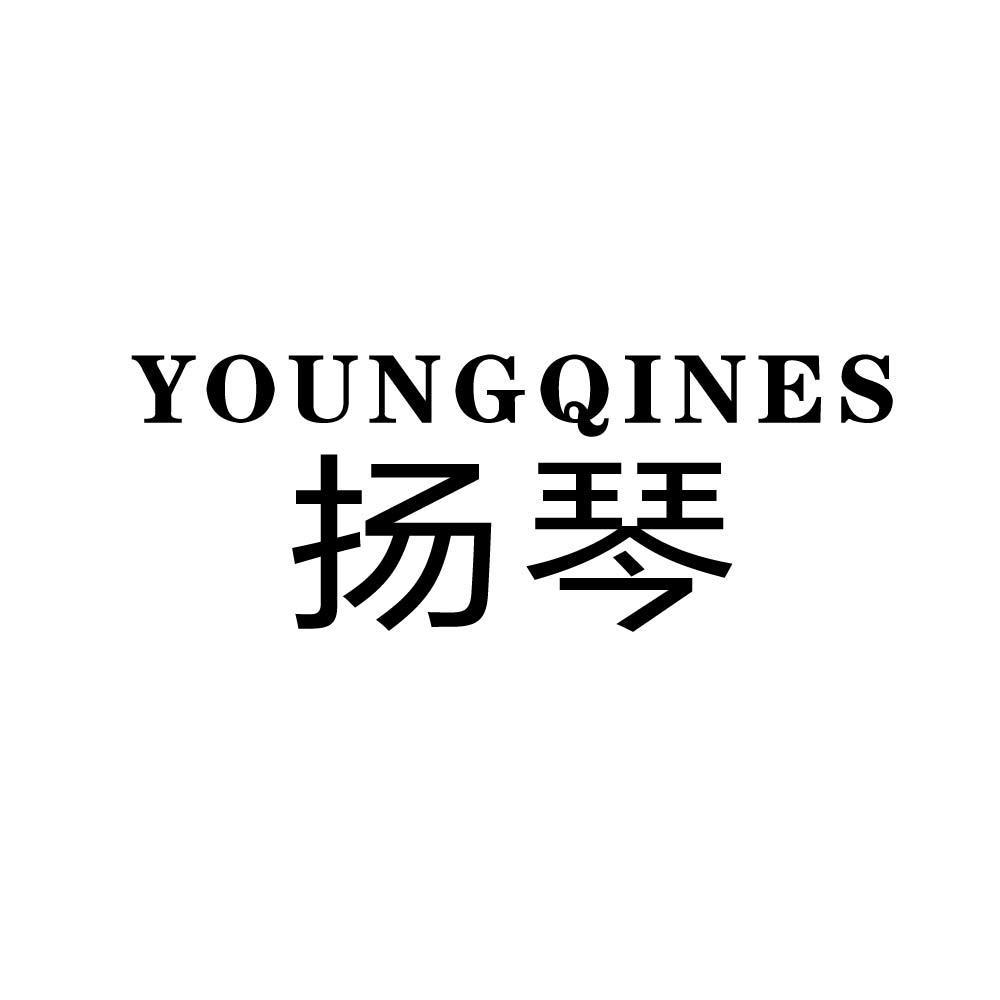 YOUNG QINES 扬琴