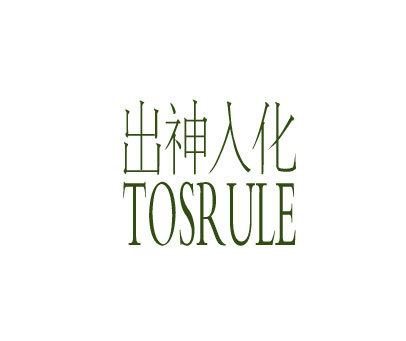 出神入化 TOSRULE