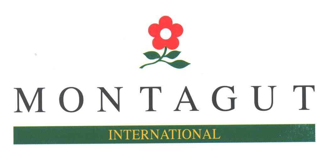 MONTAGUT INTERNATIONAL
