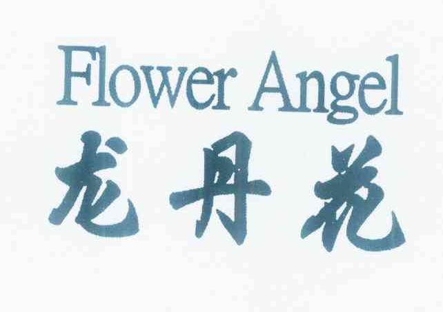 龙丹花 FLOWER ANGEL