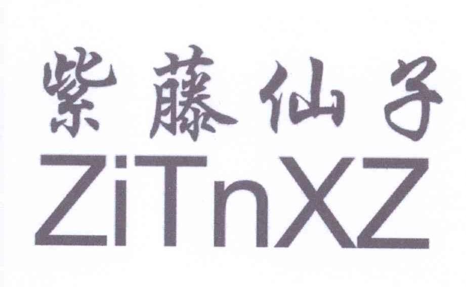 紫藤仙子 ZITNXZ