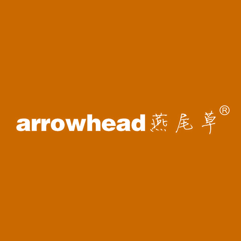 燕尾草 ARROWHEAD
