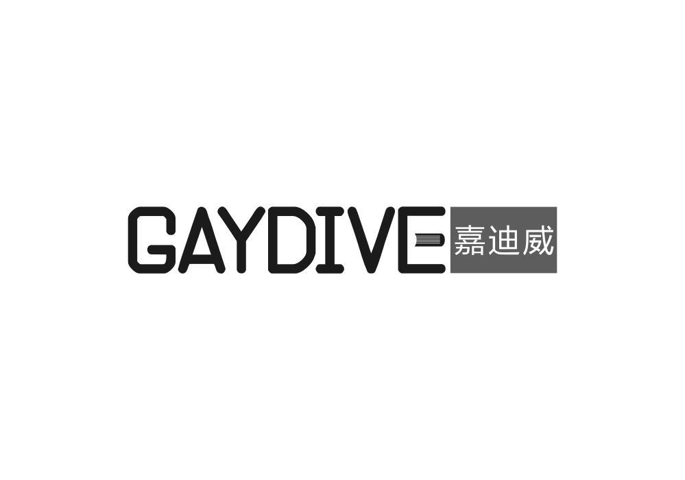 嘉迪威 GAYDIVE