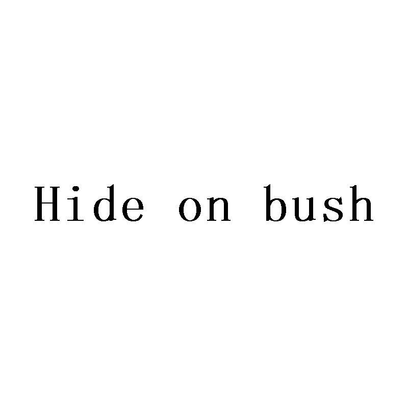 HIDE ON BUSH