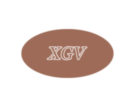 XGV