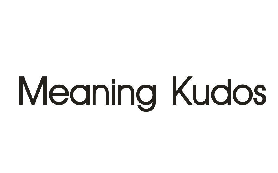 MEANING KUDOS