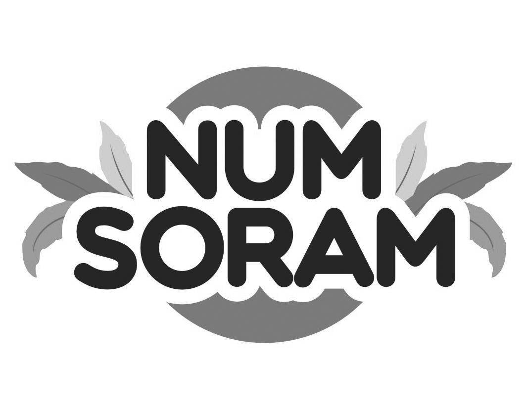 NUM SORAM