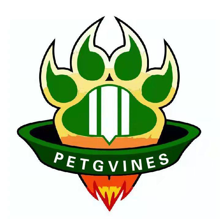 PETGVINES