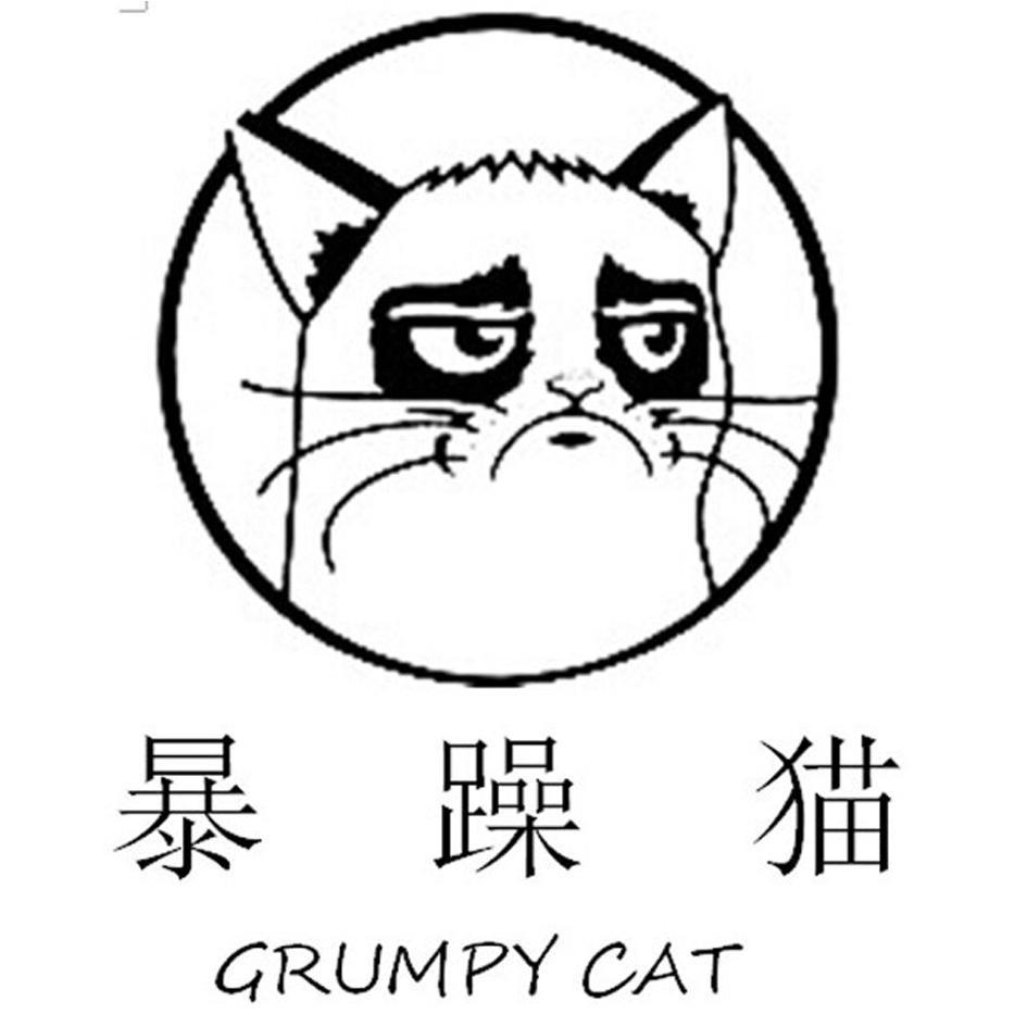 暴躁猫  GRUMPY CAT