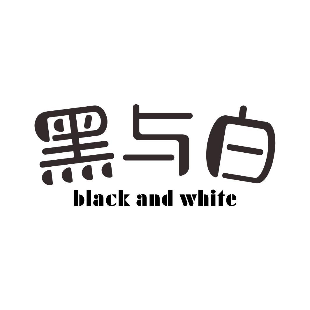 黑与白  BLACK AND WHITE