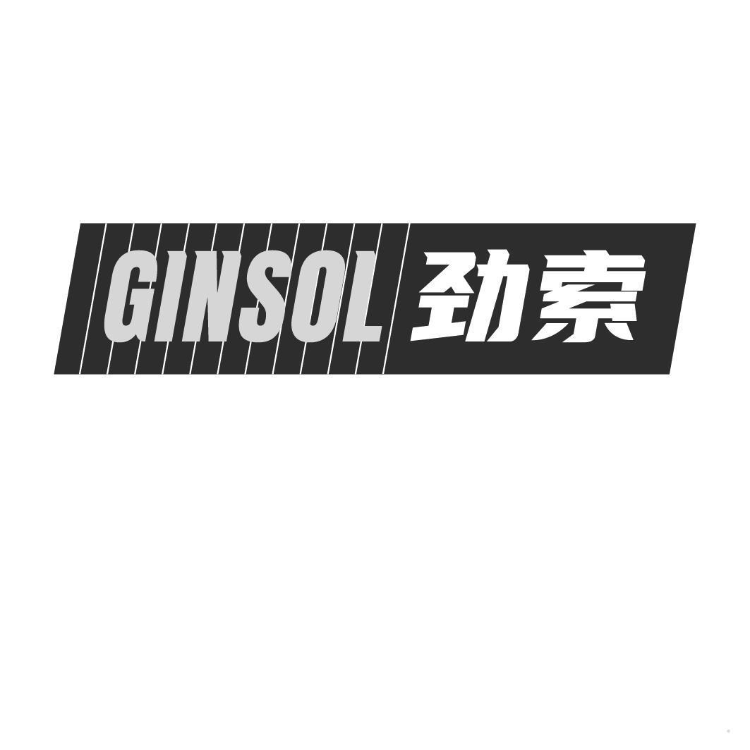 GINSOL 劲索