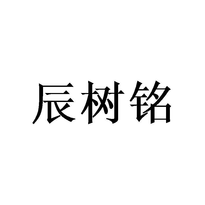 辰树铭