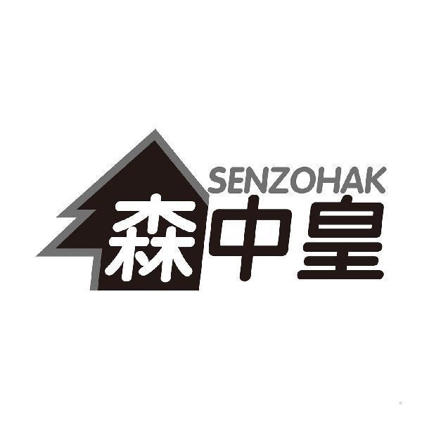 森中皇 SENZOHAK