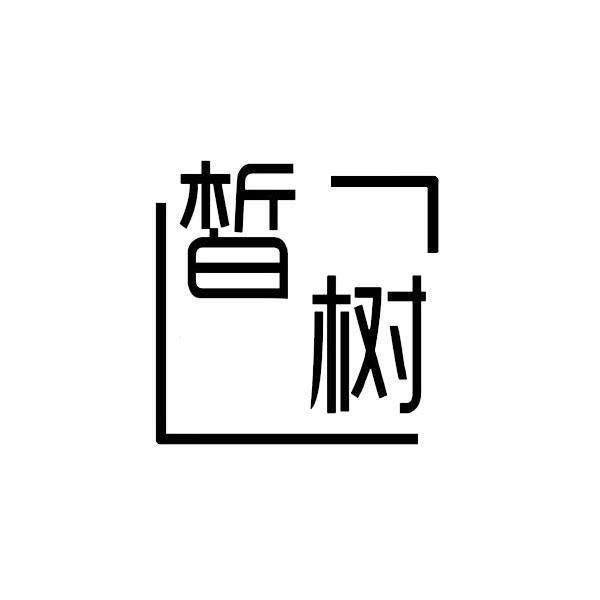 皙树