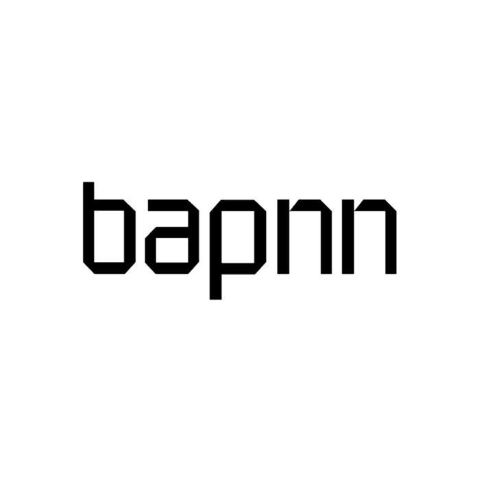 BAPNN