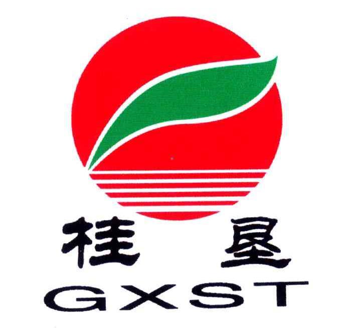 桂垦;GXST