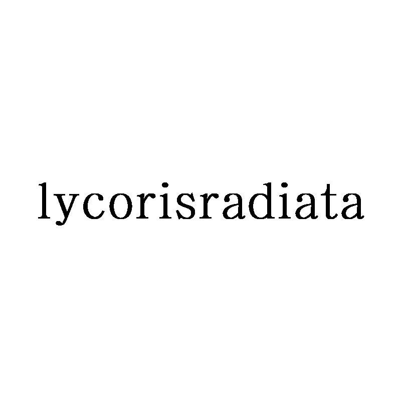 LYCORISRADIATA