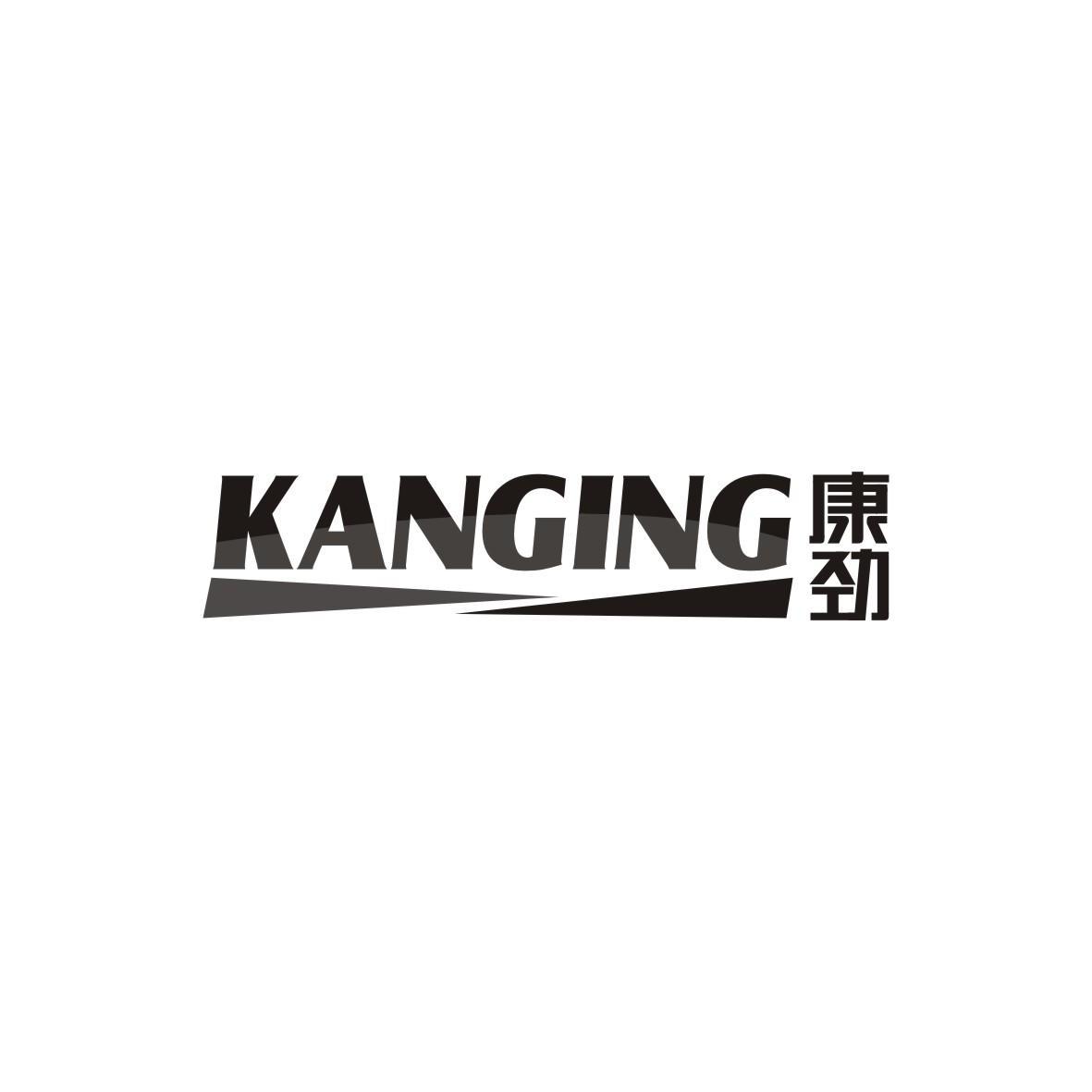 康劲  KANGING