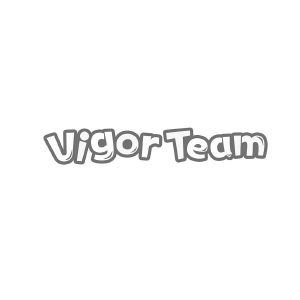 VIGOR TEAM