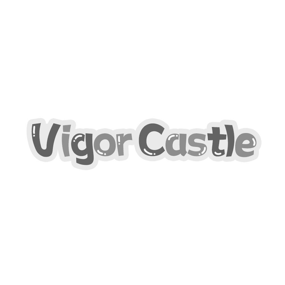 VIGOR CASTLE