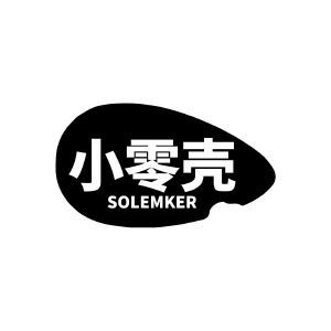 小零壳 SOLEMKER