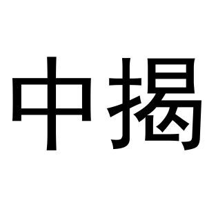 中揭