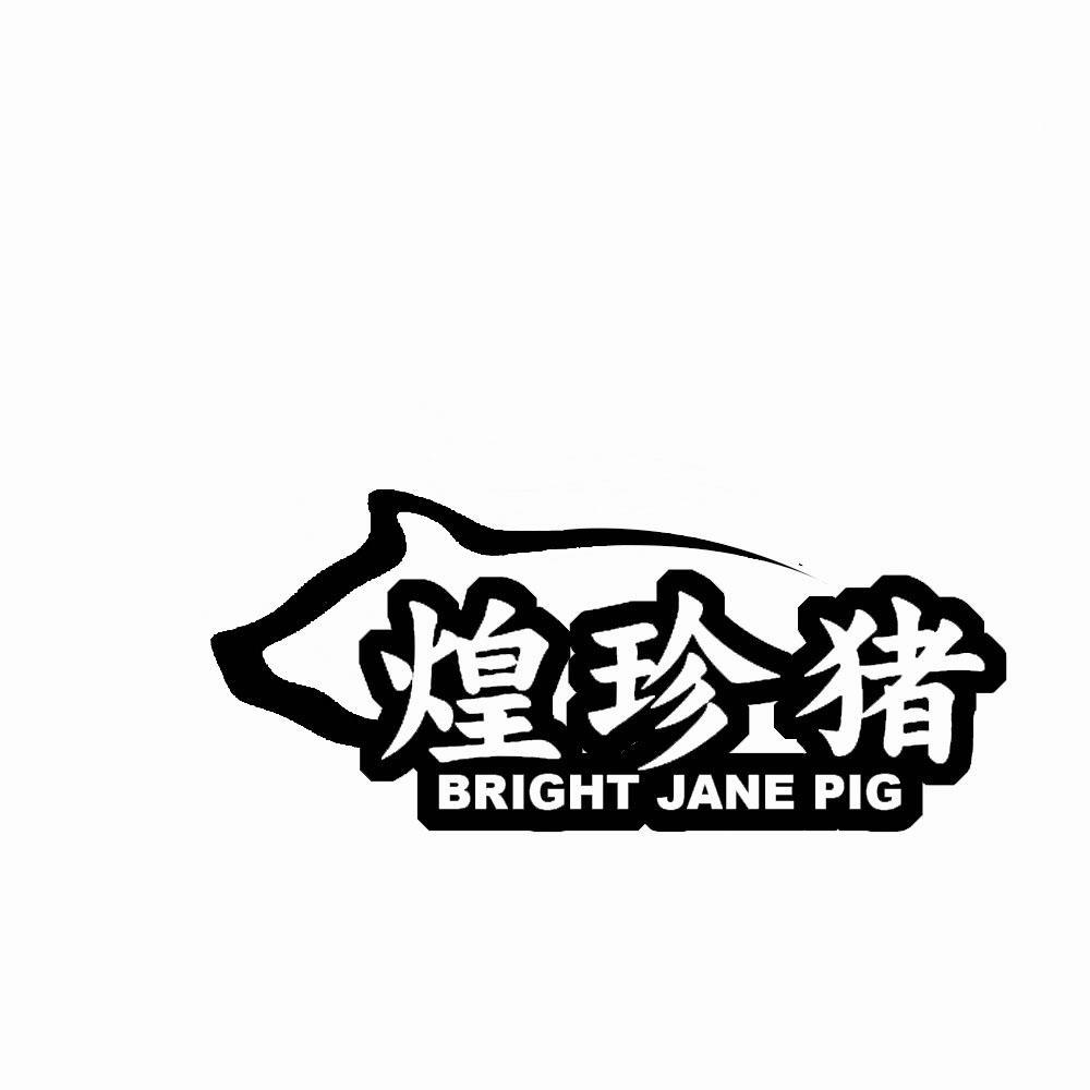 煌珍猪 BRIGHT JANE PIG