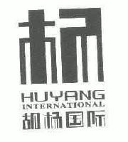 杨 胡杨国际;HUYANG INTERNATIONAL