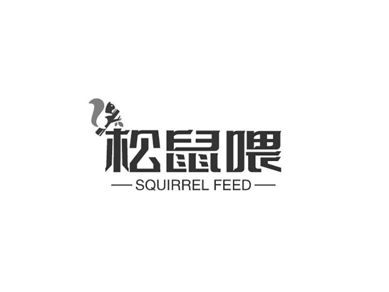 松鼠喂 SQUIRREL FEED