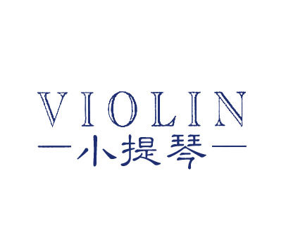 小提琴 VIOLIN