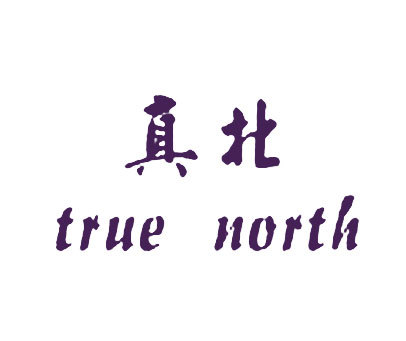 真北 TRUE NORTH