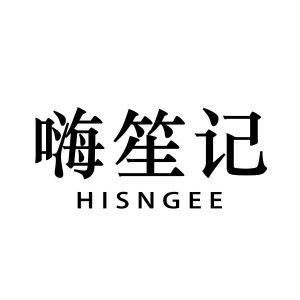 嗨笙记 HISNGEE