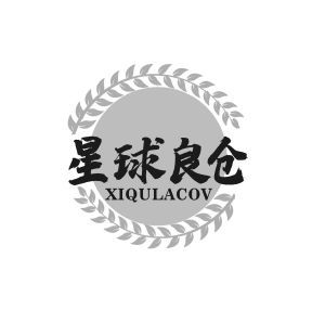 星球良仓 XIQULACOV