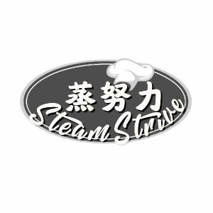 蒸努力 STEAM STRIVE