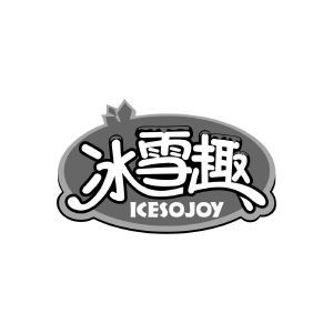 冰雪趣 ICESOJOY