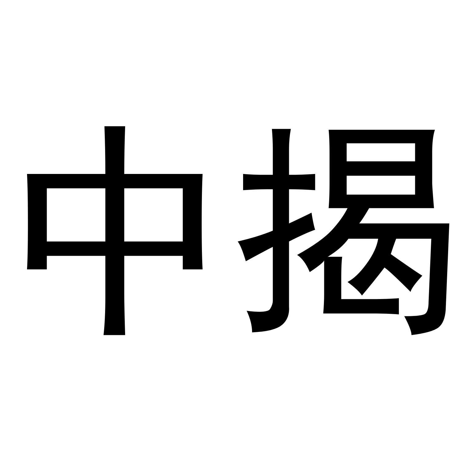 中揭