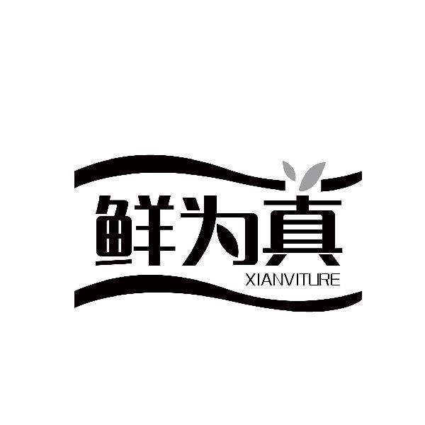 鲜为真 XIANVITURE