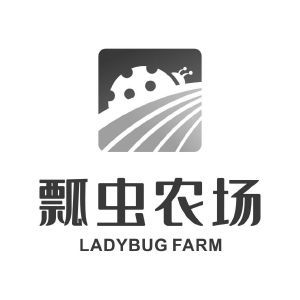 瓢虫农场 LADYBUG FARM