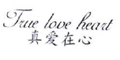 真爱在心  TRUE LOVE HEART