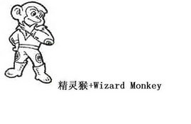 精灵猴 WIZARD MONKEY